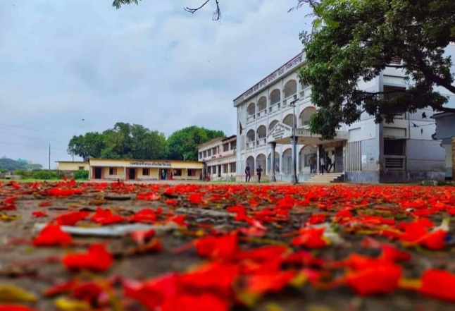 Ground Level View